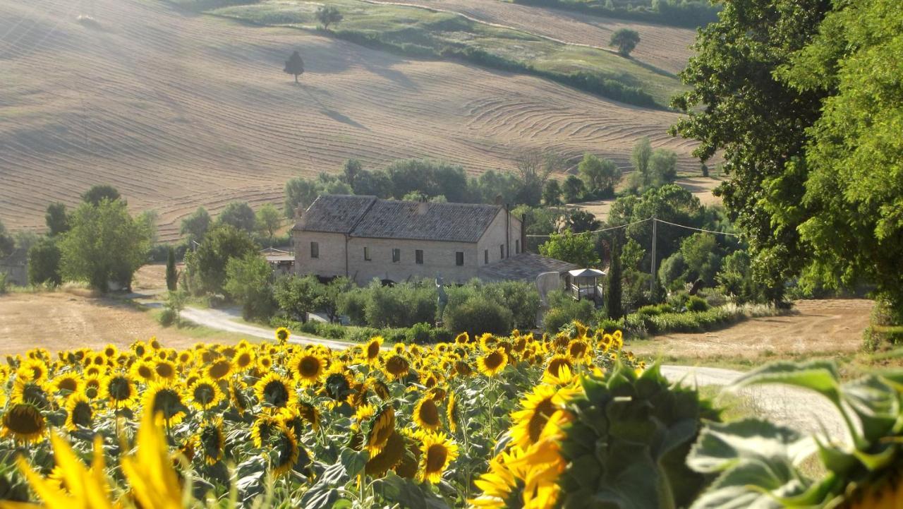 "La Casa Degli Ulivi Art B&B" Trecastelli Exterior photo