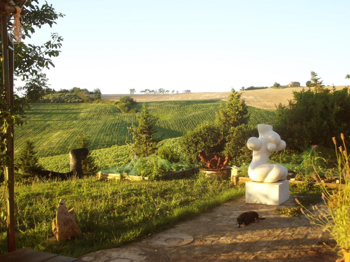 "La Casa Degli Ulivi Art B&B" Trecastelli Exterior photo