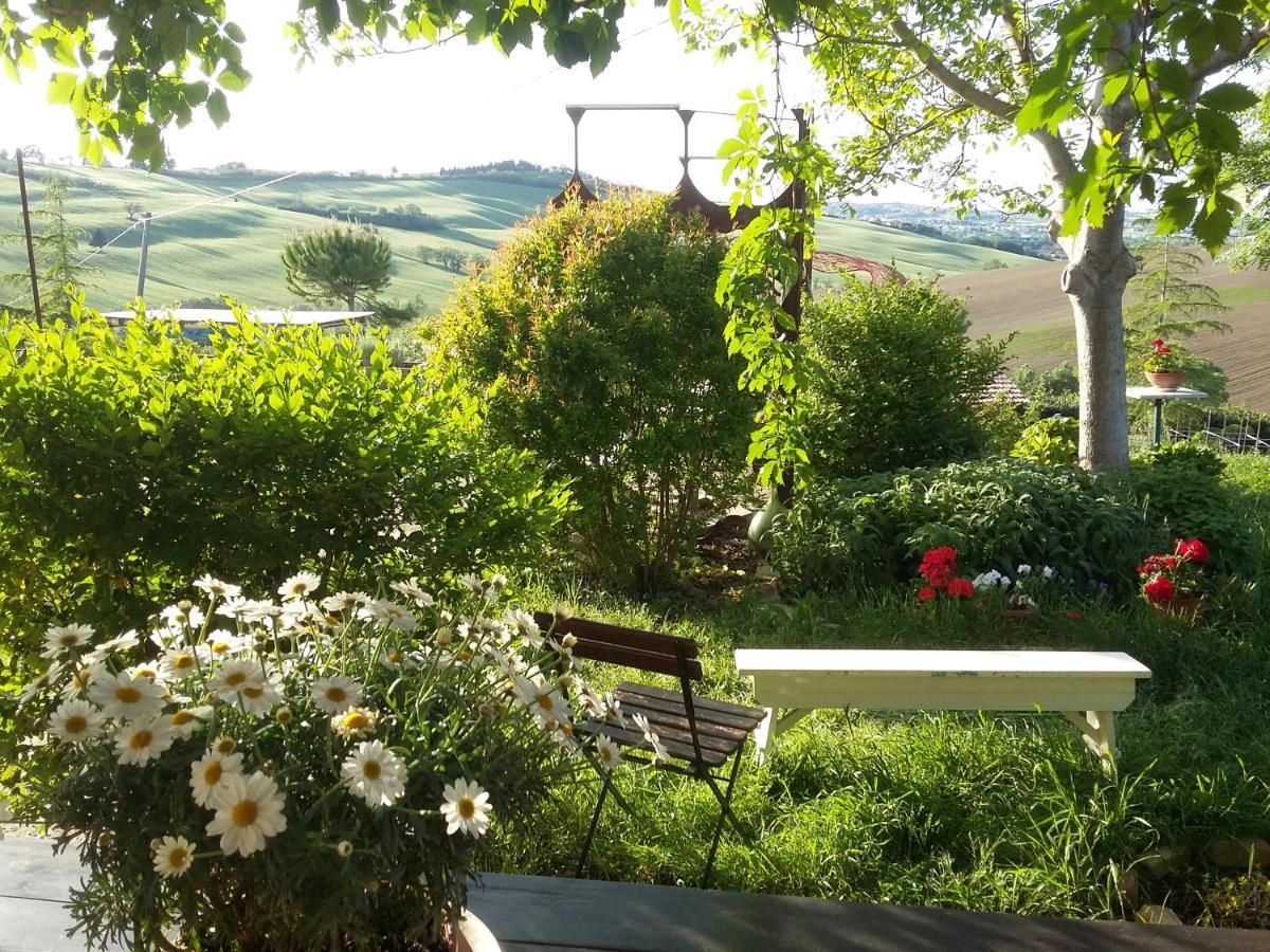 "La Casa Degli Ulivi Art B&B" Trecastelli Exterior photo