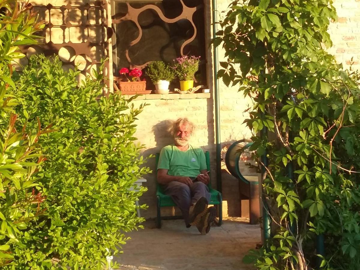 "La Casa Degli Ulivi Art B&B" Trecastelli Exterior photo